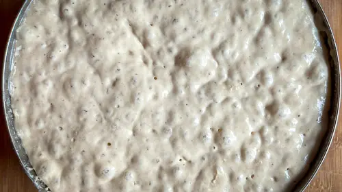 Ein gut aufgegangener Hefeteig in einer runden Form, bereit für das Abbacken.