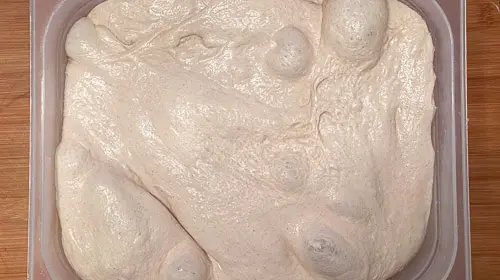 Sauerteigbrotteig mit deutlich sichtbaren Blasen und leuchtender Oberfläche in einer bewässerten Form, leicht gebacken auf Holz.