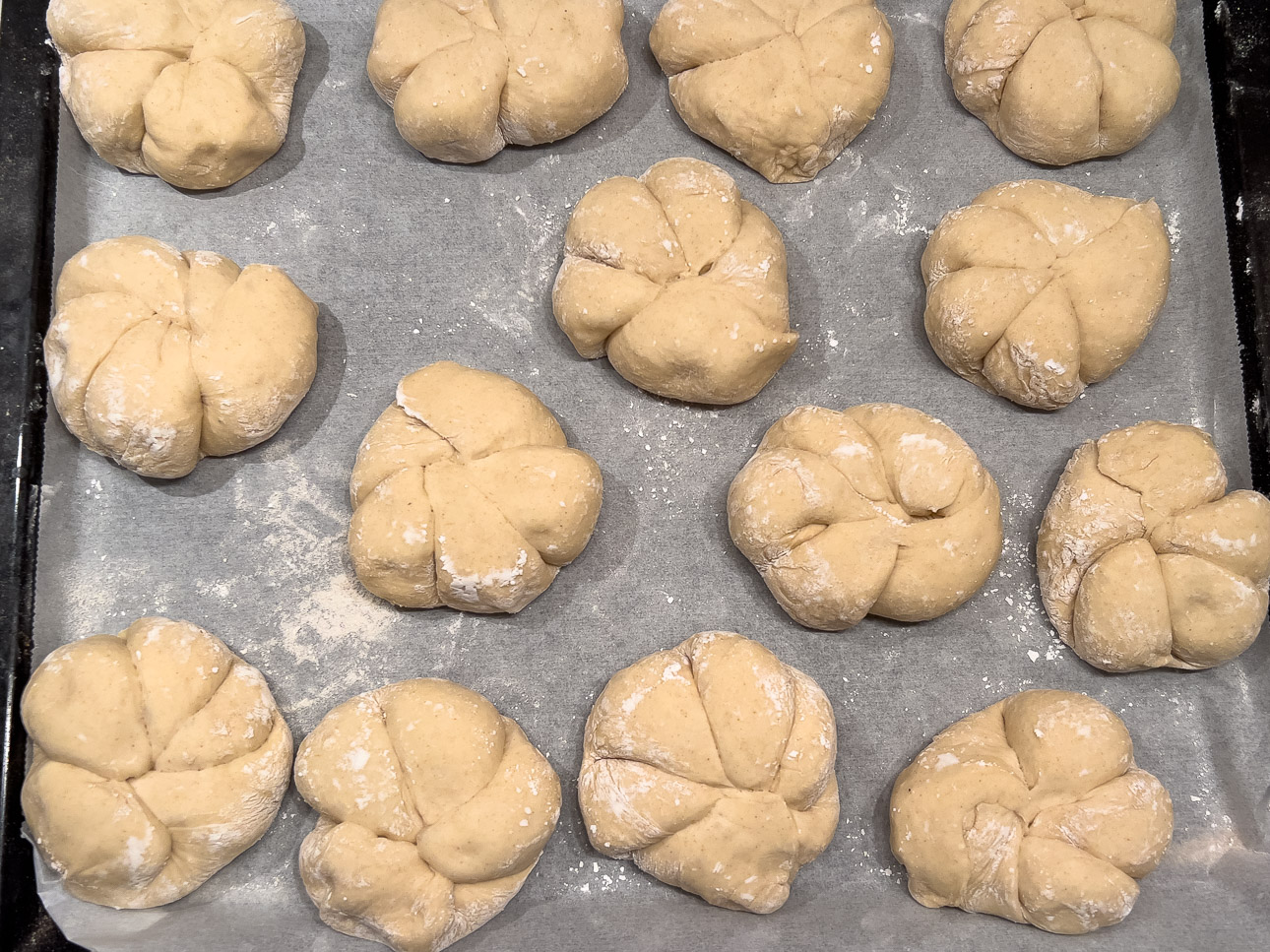 Semmeln mit Lievito Madre am Backblech