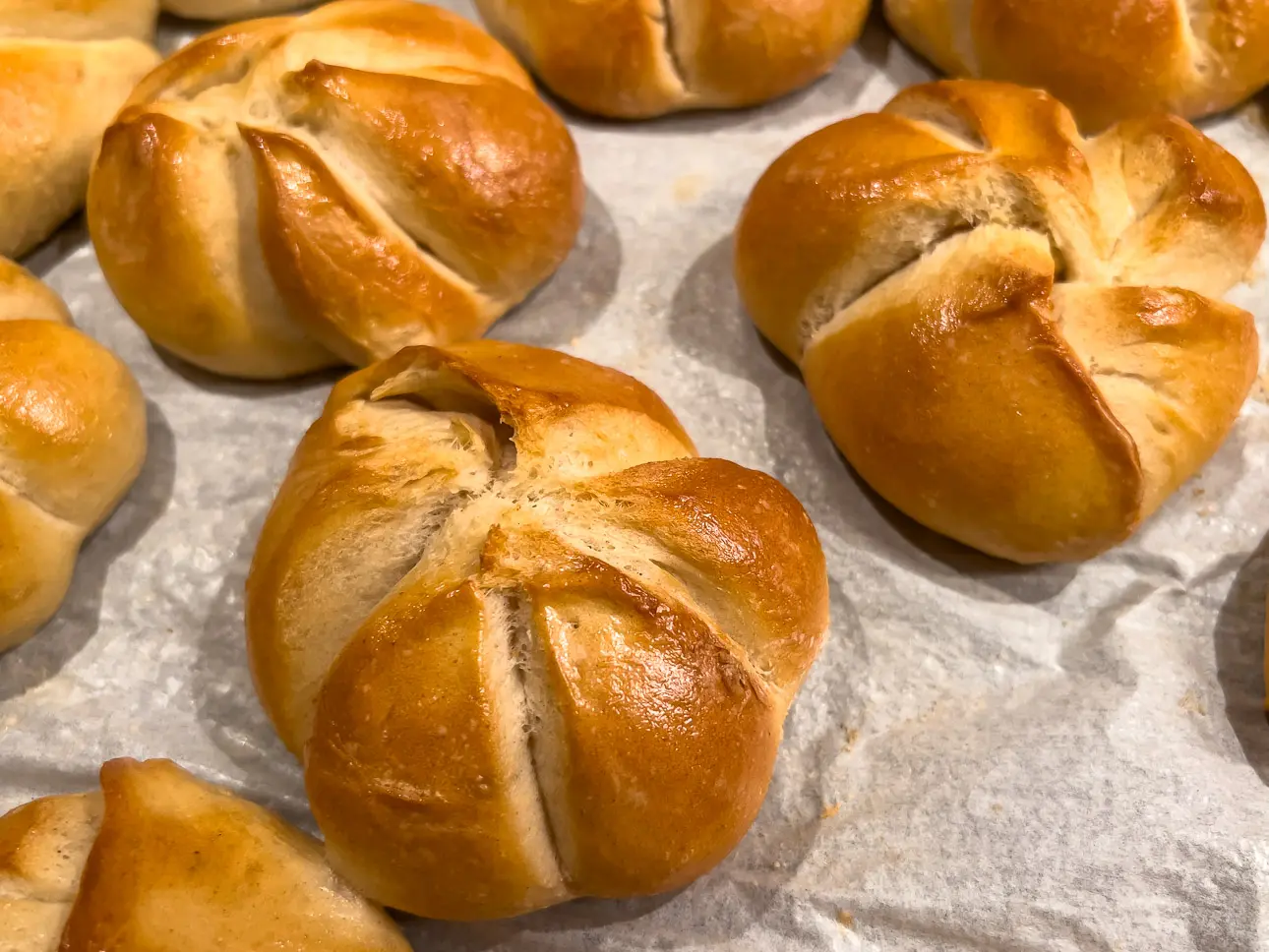 Eine Auswahl goldbrauner Brötchen, frisch aus dem Ofen.